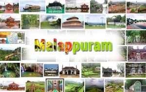 Digital marketing scopes in Malappuram